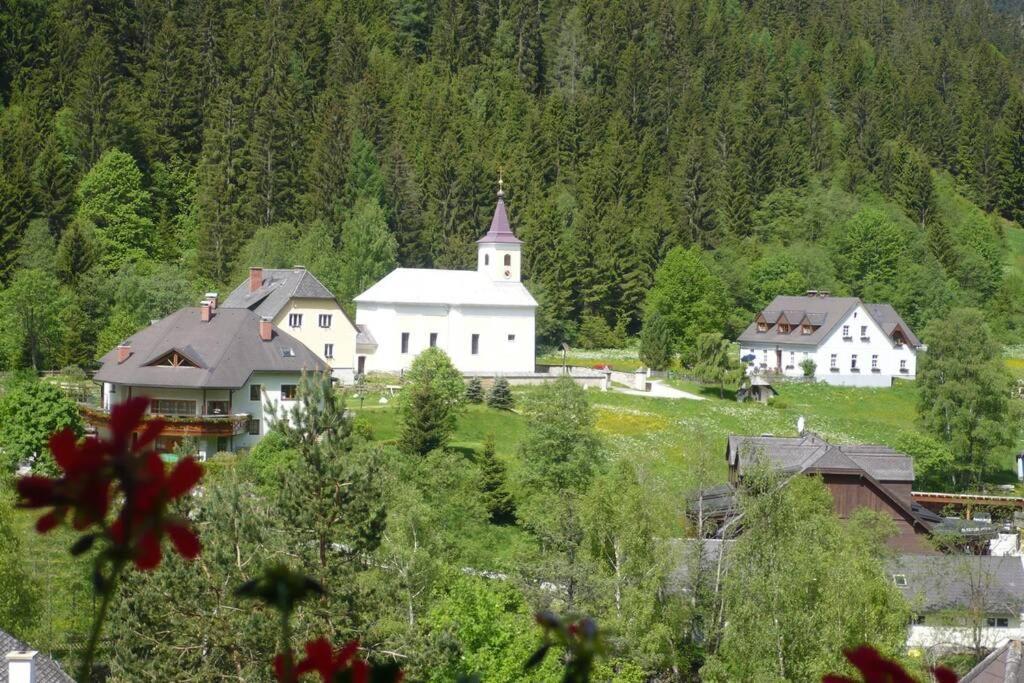 Ferienwohnung Moersbachblick Donnersbachwald Ngoại thất bức ảnh